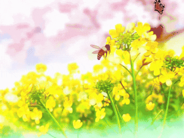 春日踏青，白癜风患者饮食有何讲究？福建泉州中科皮肤医院这份“避雷”指南请收好